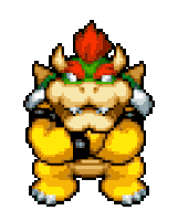 bowser